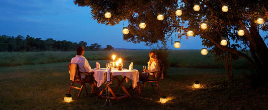 Solar-Powered Lights: Brighten Your Garden Effortlessly