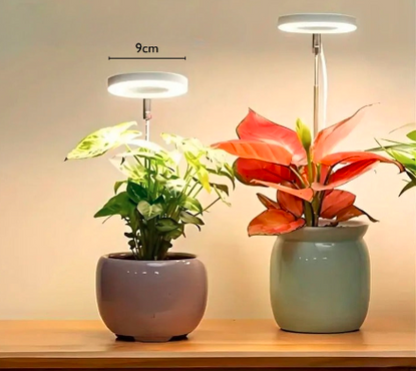 Plant lamp with Timer & Adjustable Height