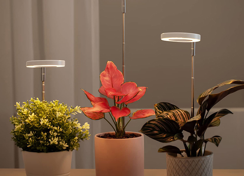 Plant lamp with Timer & Adjustable Height