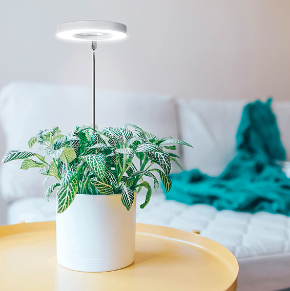 Plant lamp with Timer & Adjustable Height