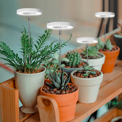 Plant lamp with Timer & Adjustable Height